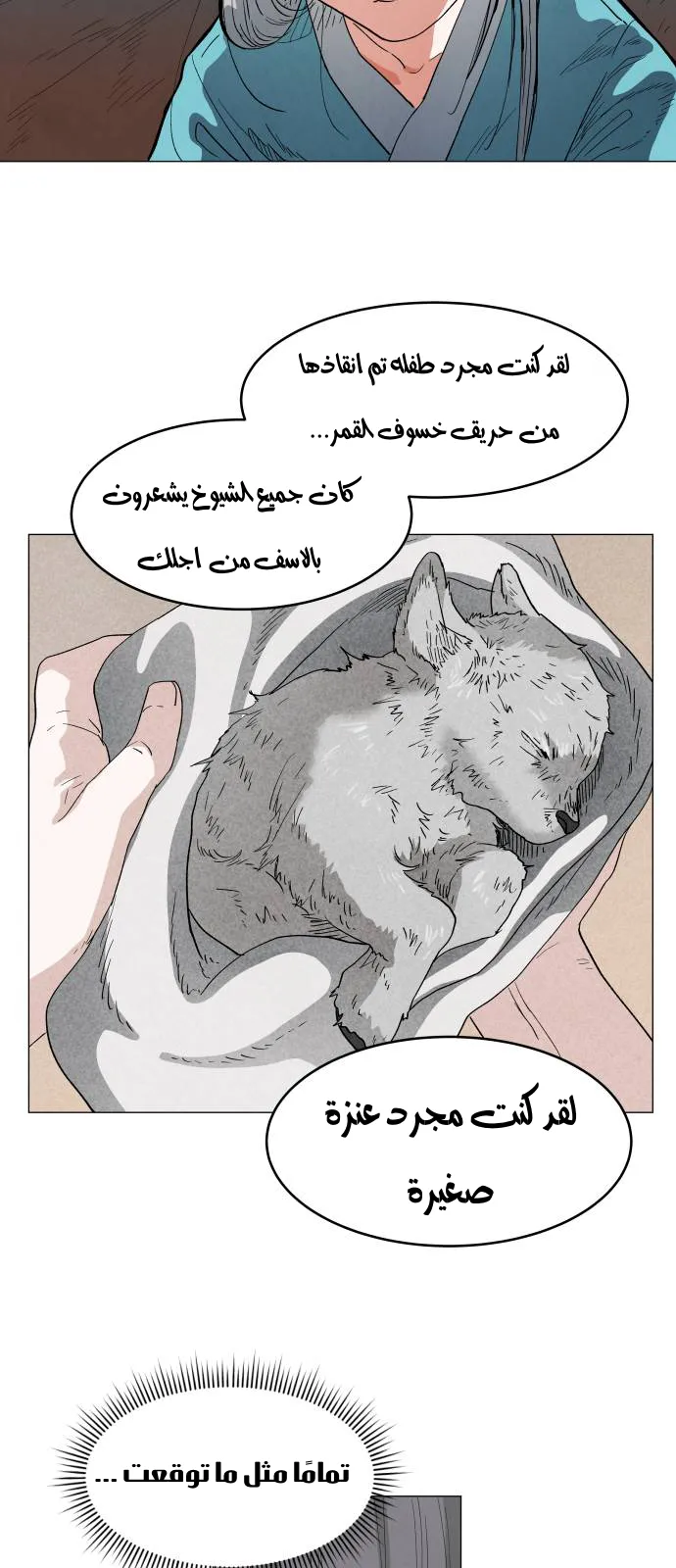 الصفحة 25