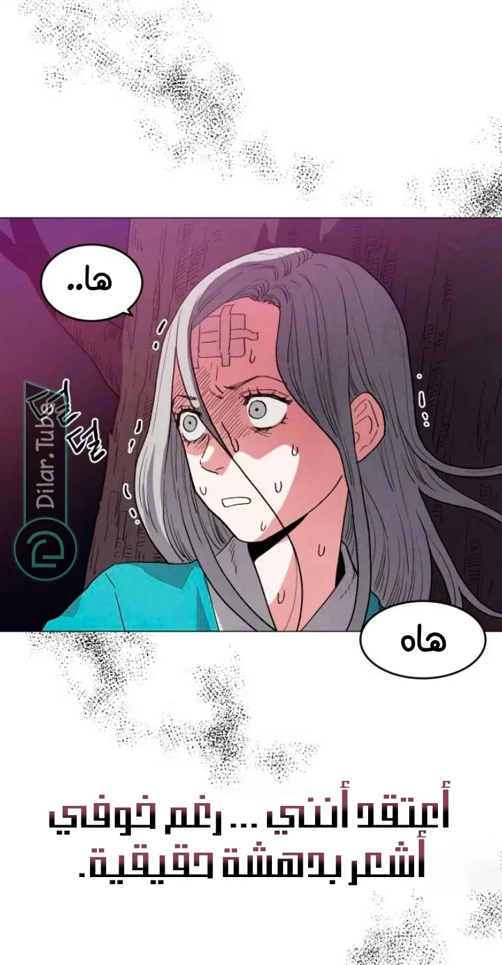 الصفحة 5