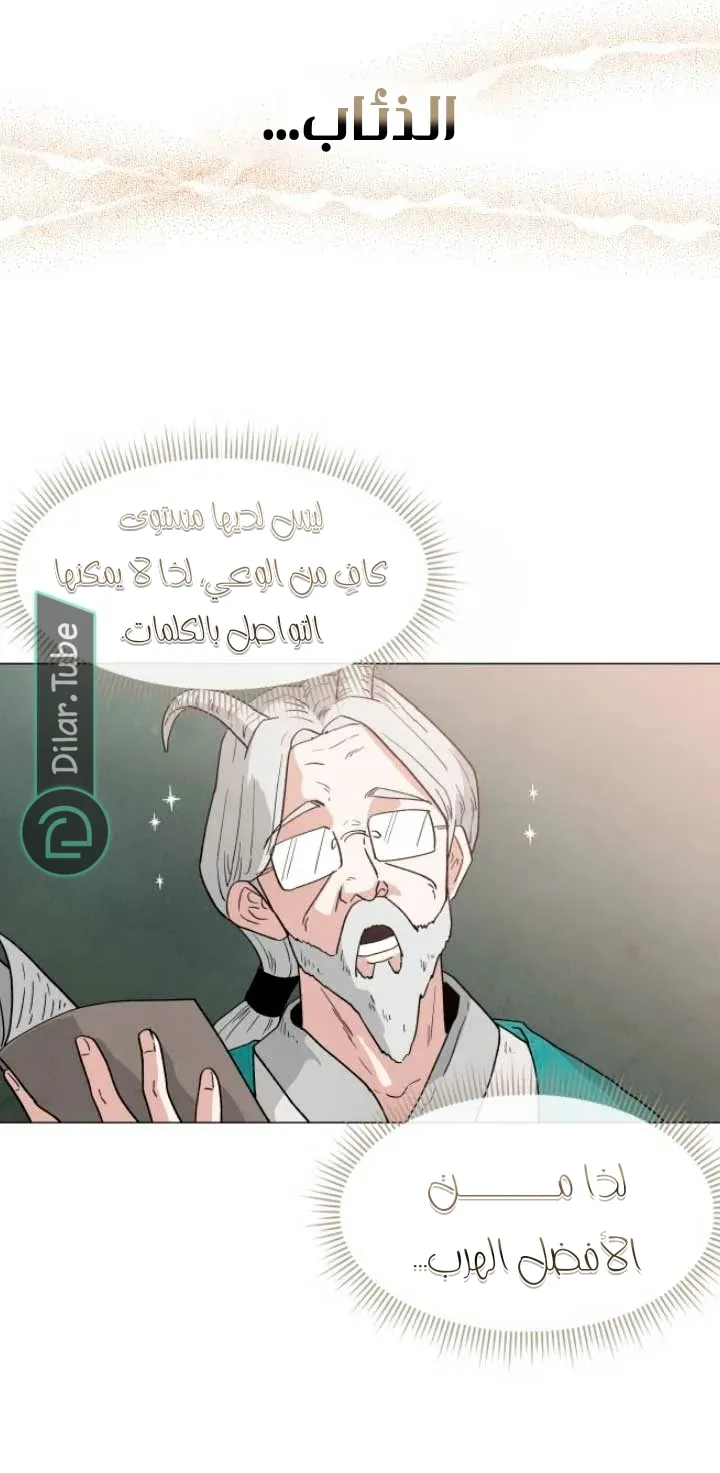 الصفحة 8
