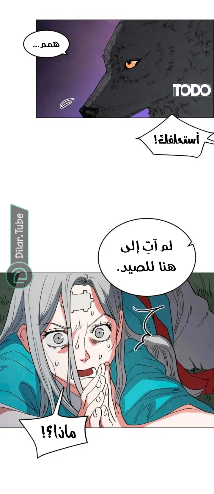 الصفحة 15