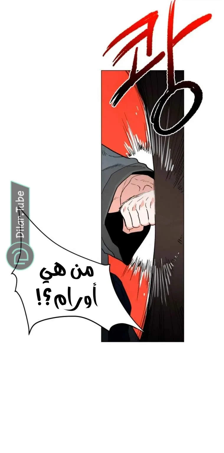 الصفحة 46