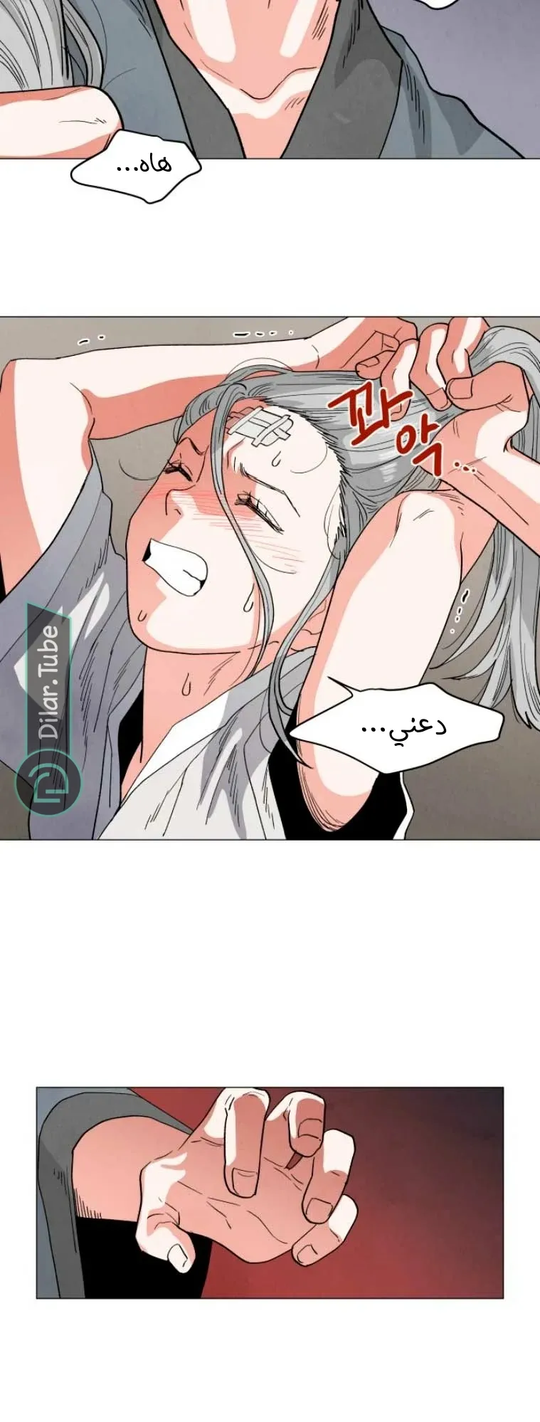 الصفحة 52