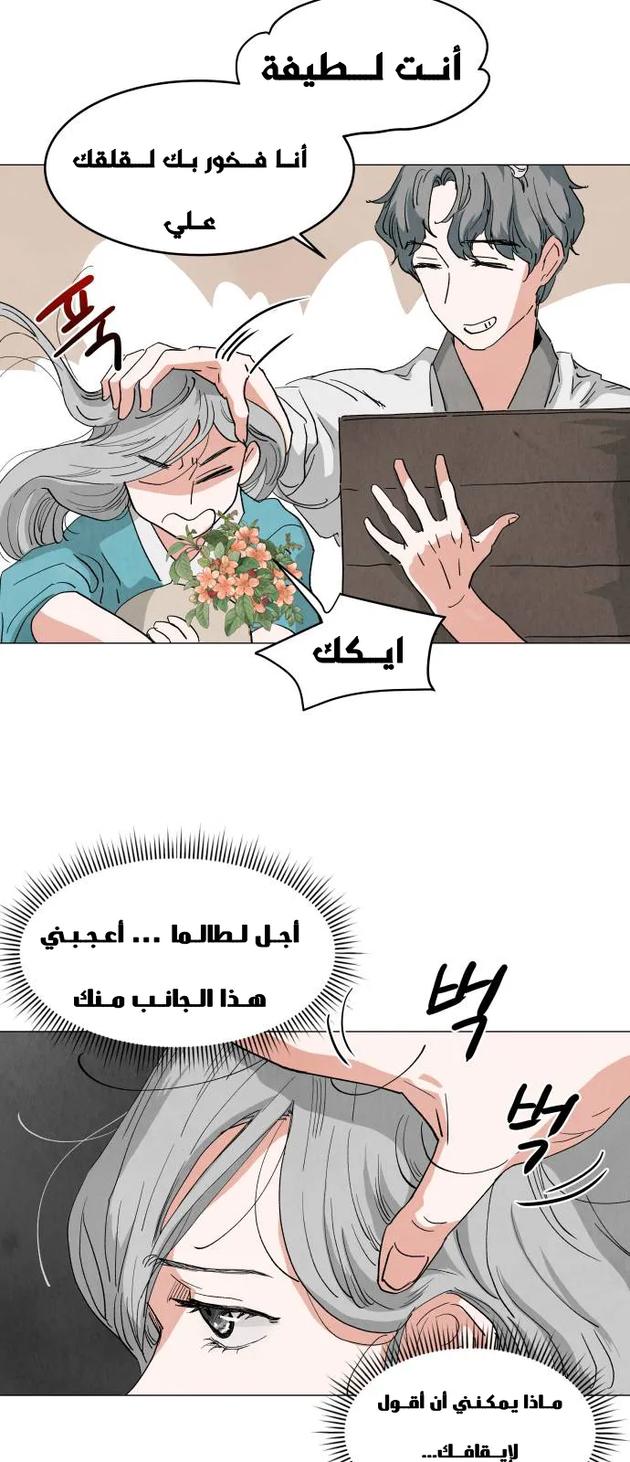 الصفحة 29