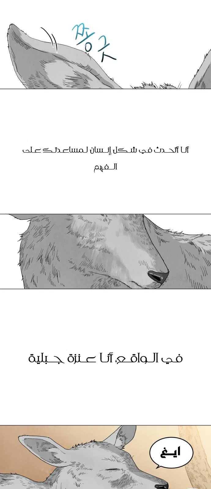 الصفحة 41
