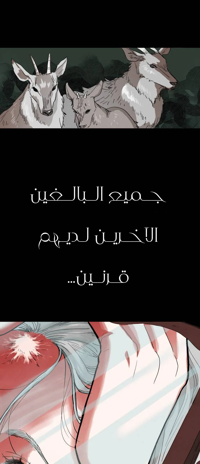 الصفحة 71