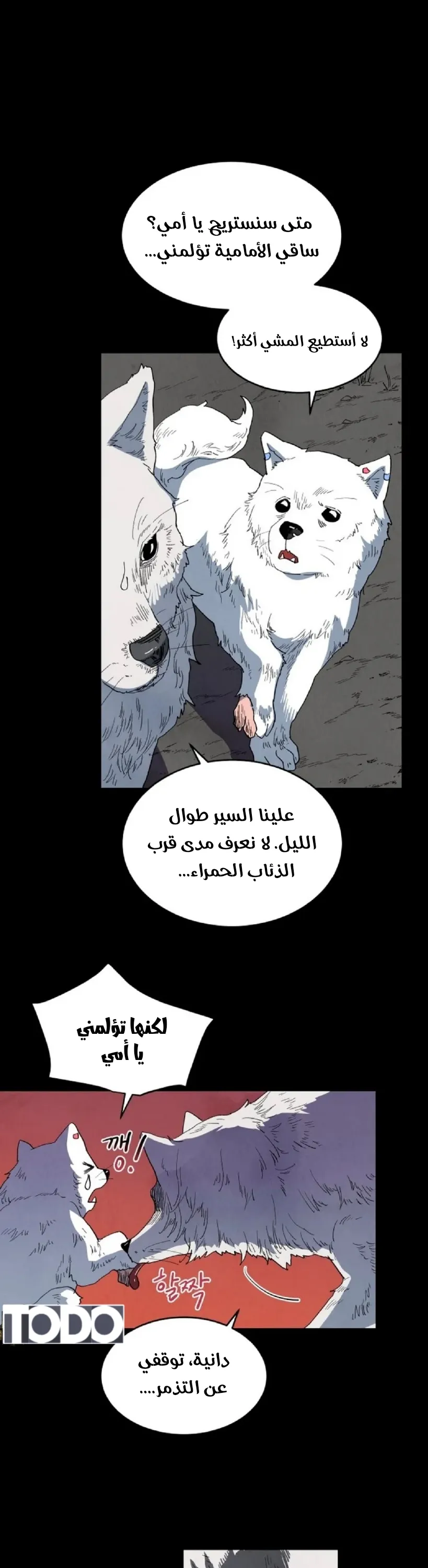 الصفحة 13