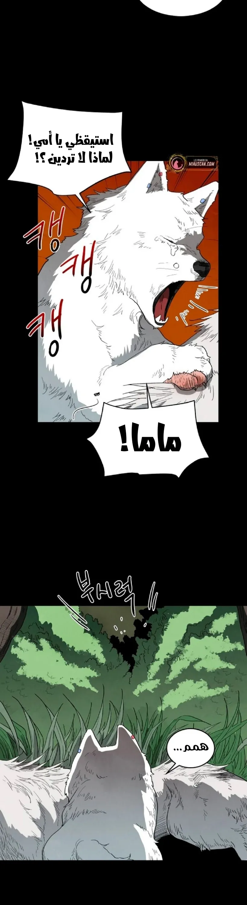 الصفحة 17