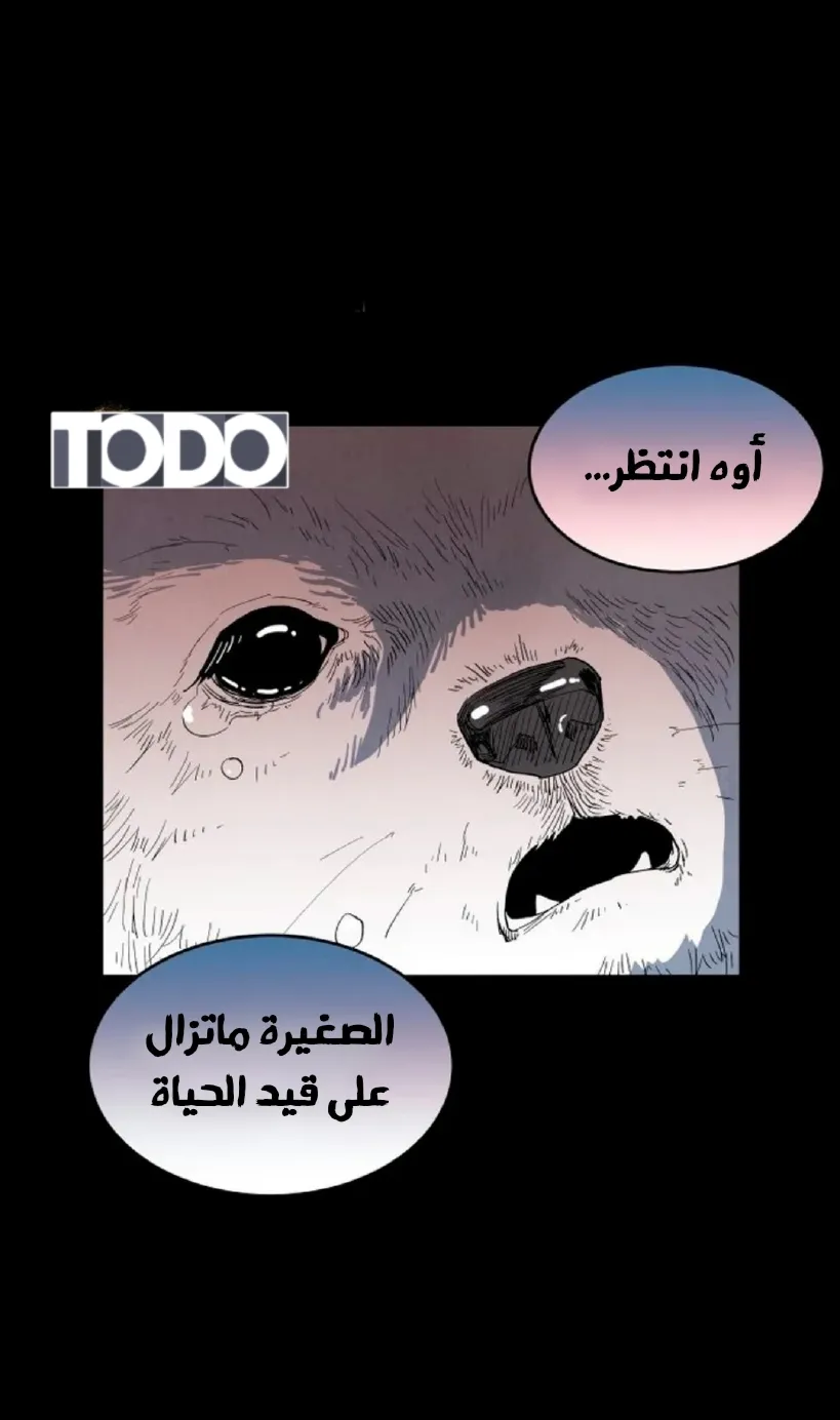 الصفحة 18