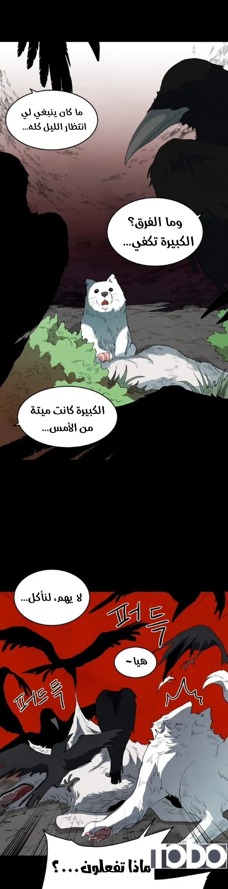 الصفحة 19