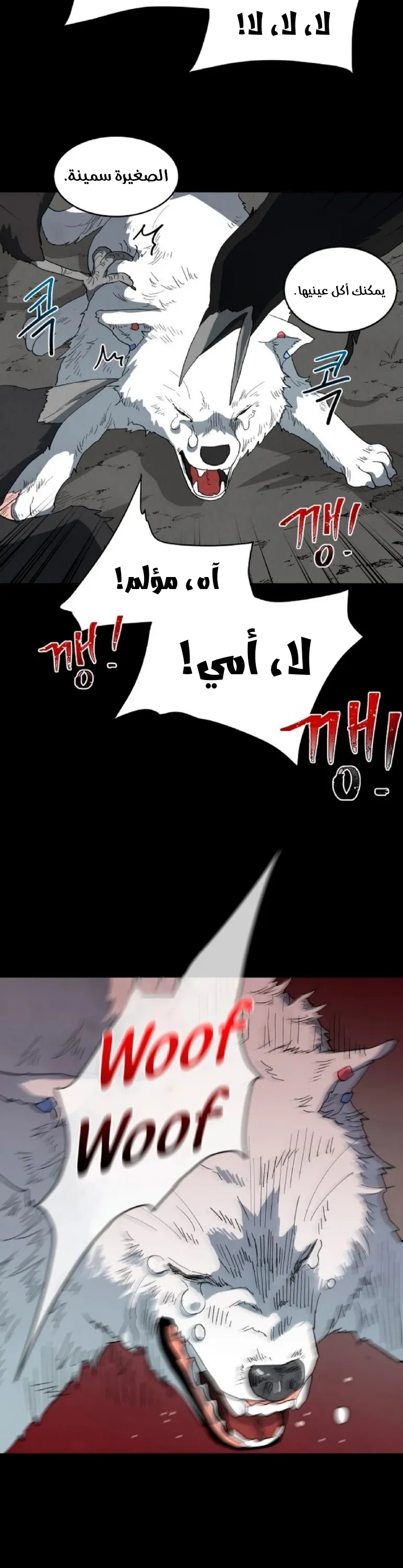 الصفحة 20