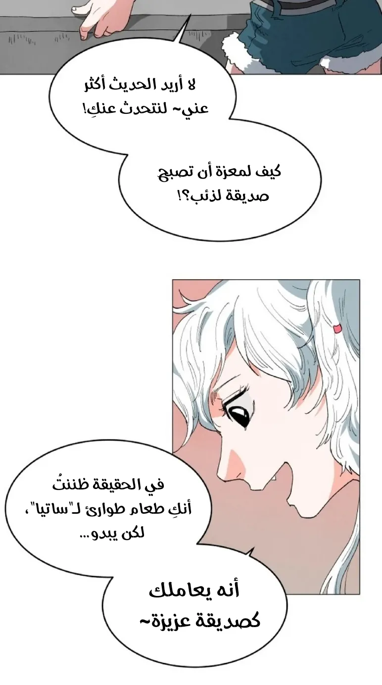 الصفحة 24