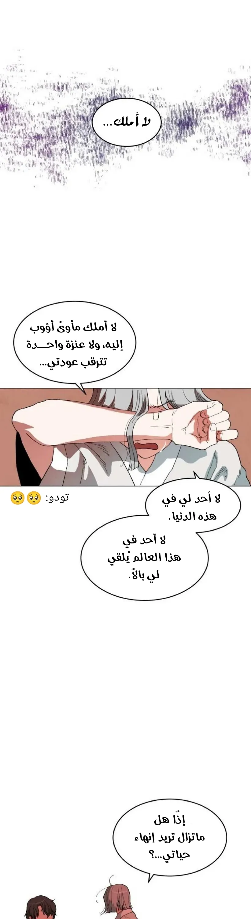 الصفحة 14