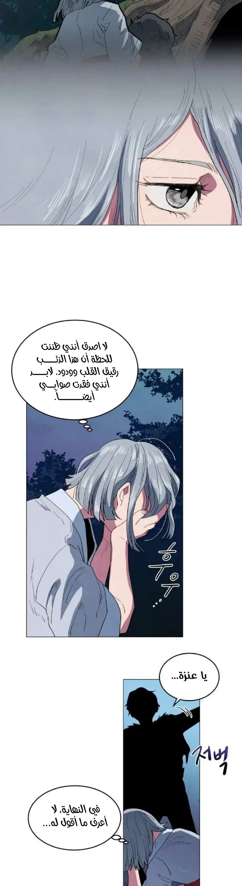 الصفحة 17