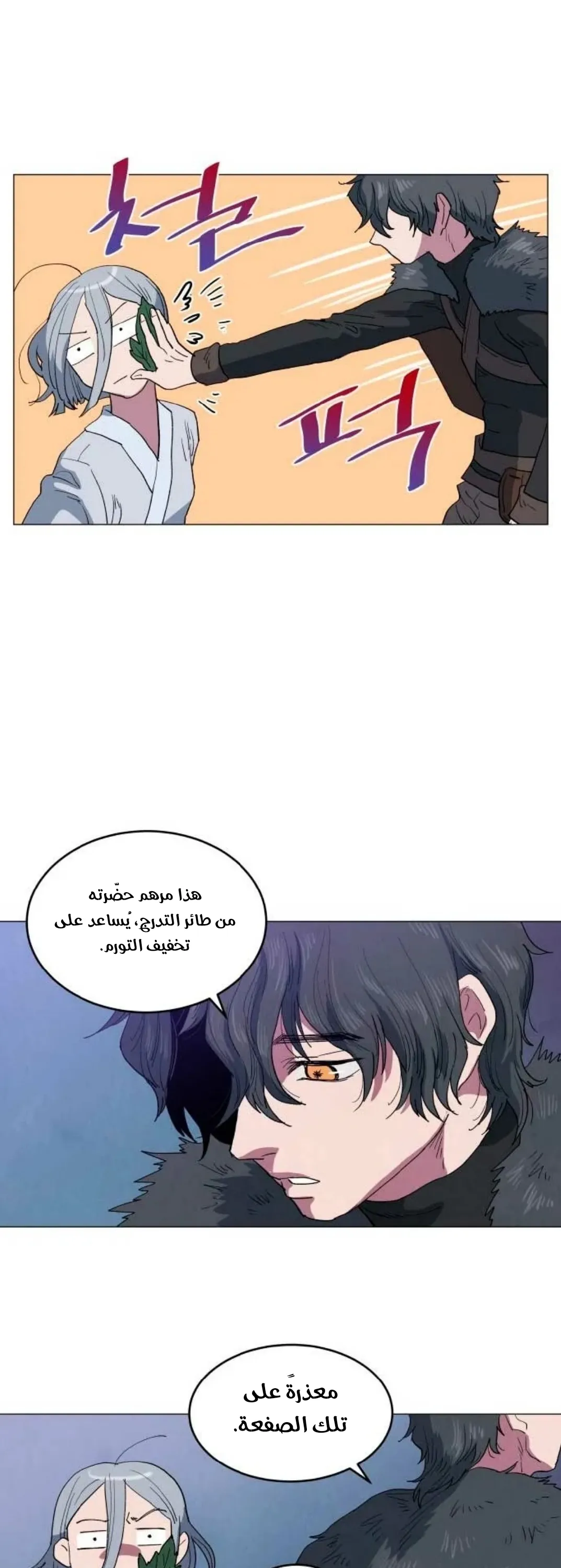 الصفحة 19