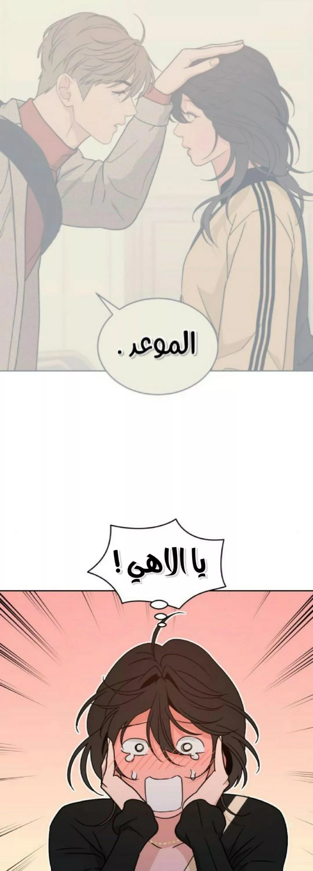 الصفحة 21