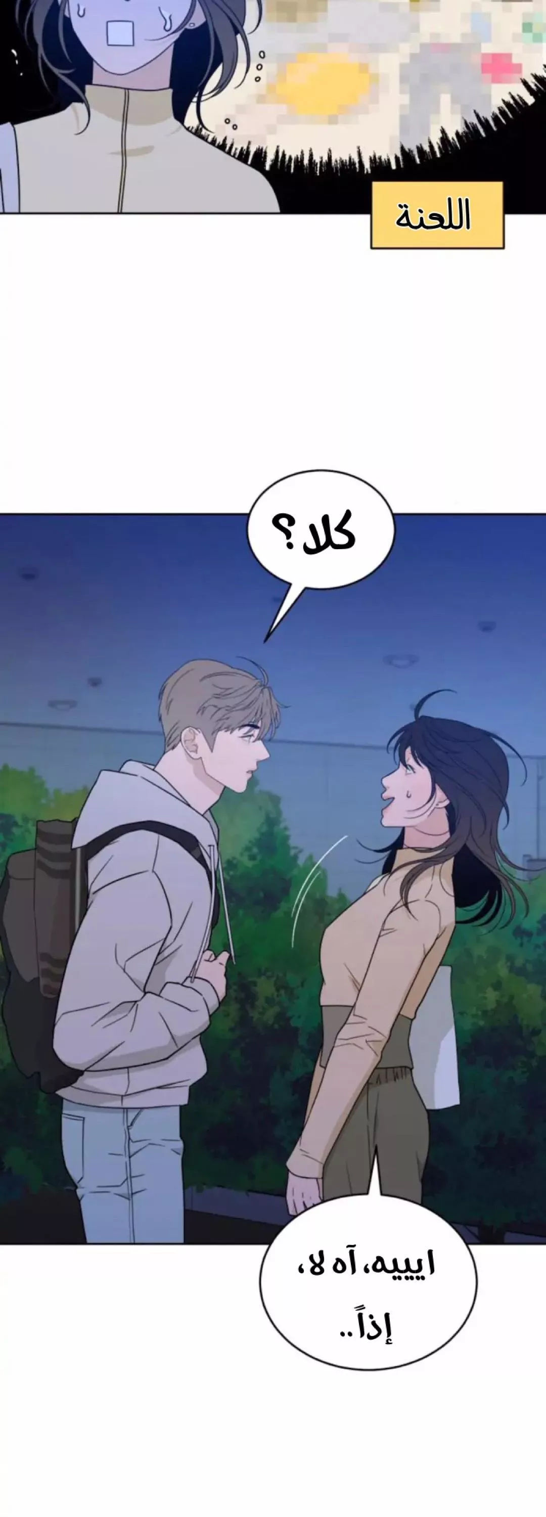 الصفحة 19