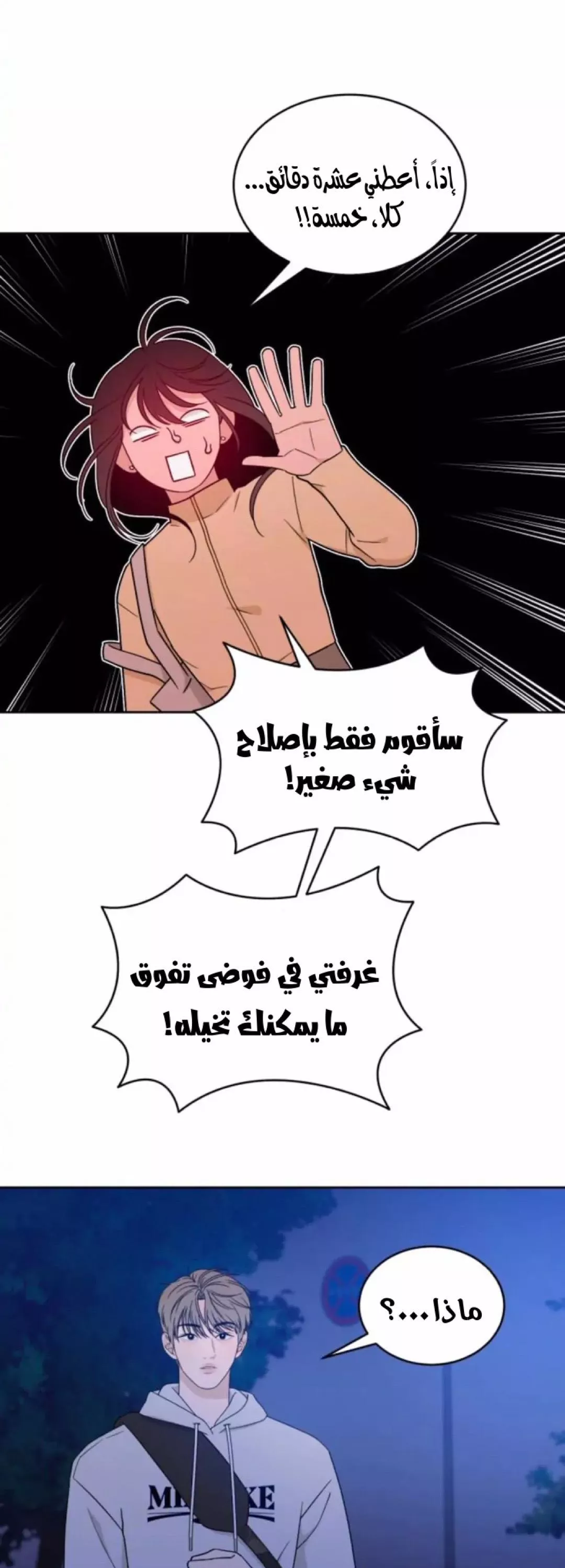 الصفحة 20