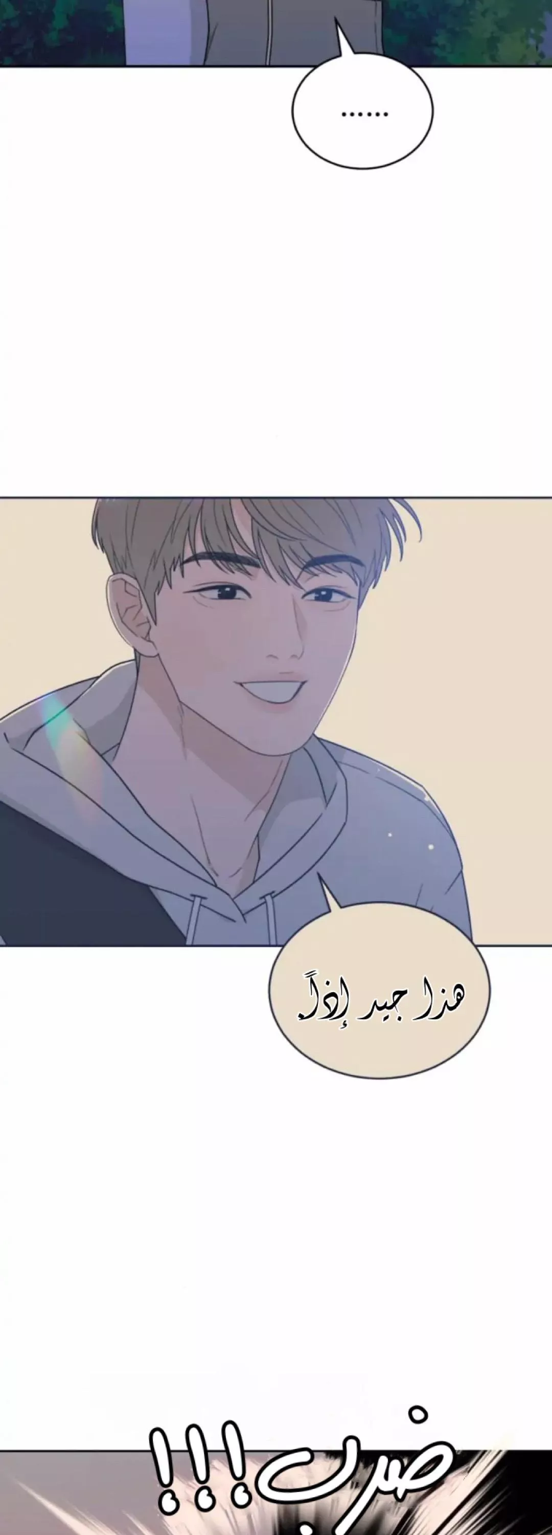 الصفحة 26