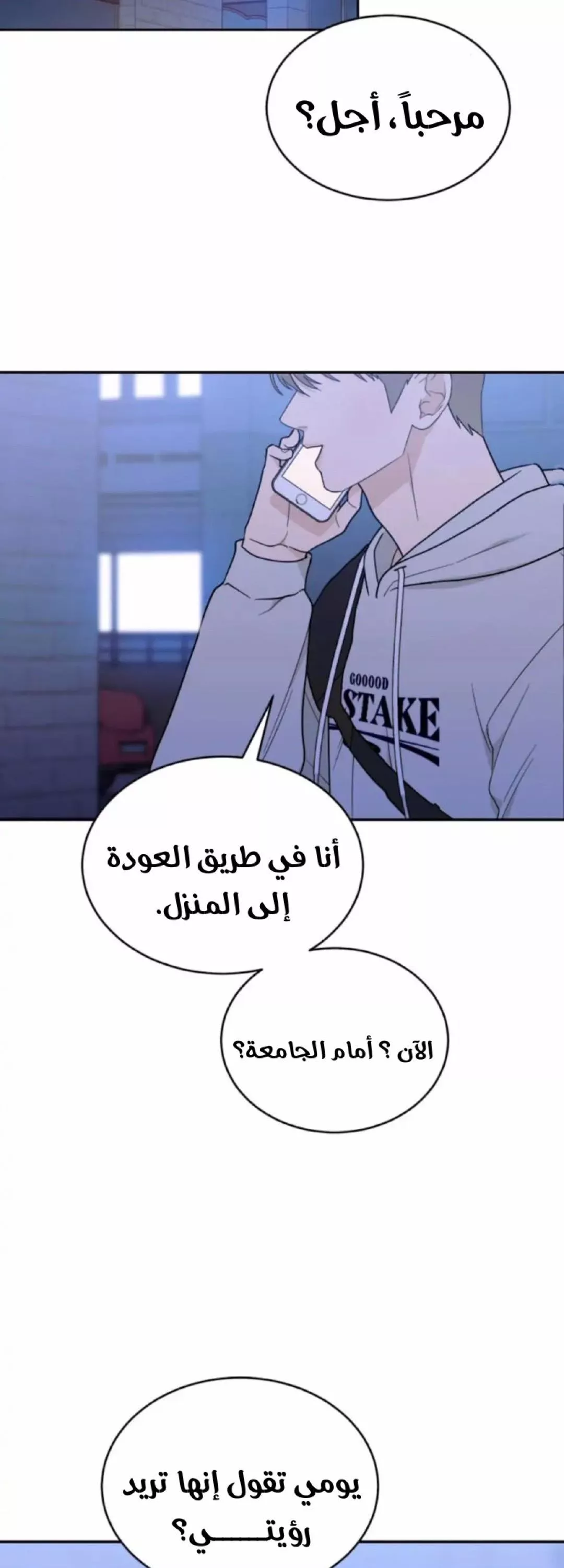 الصفحة 30