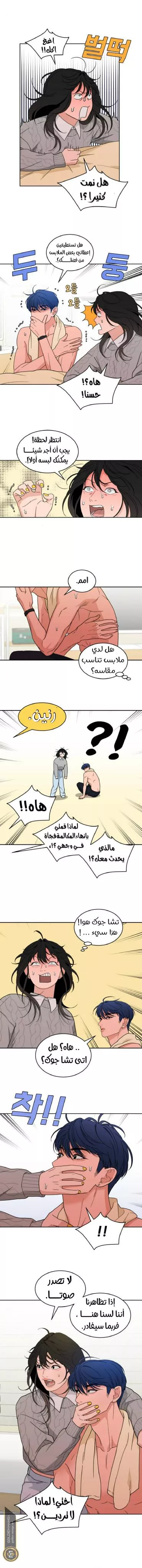 الصفحة 4