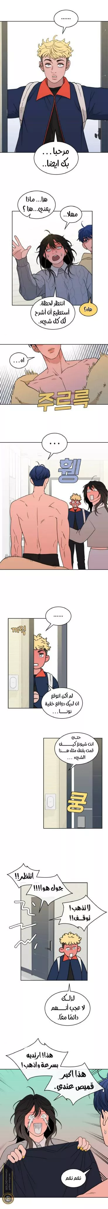 الصفحة 6