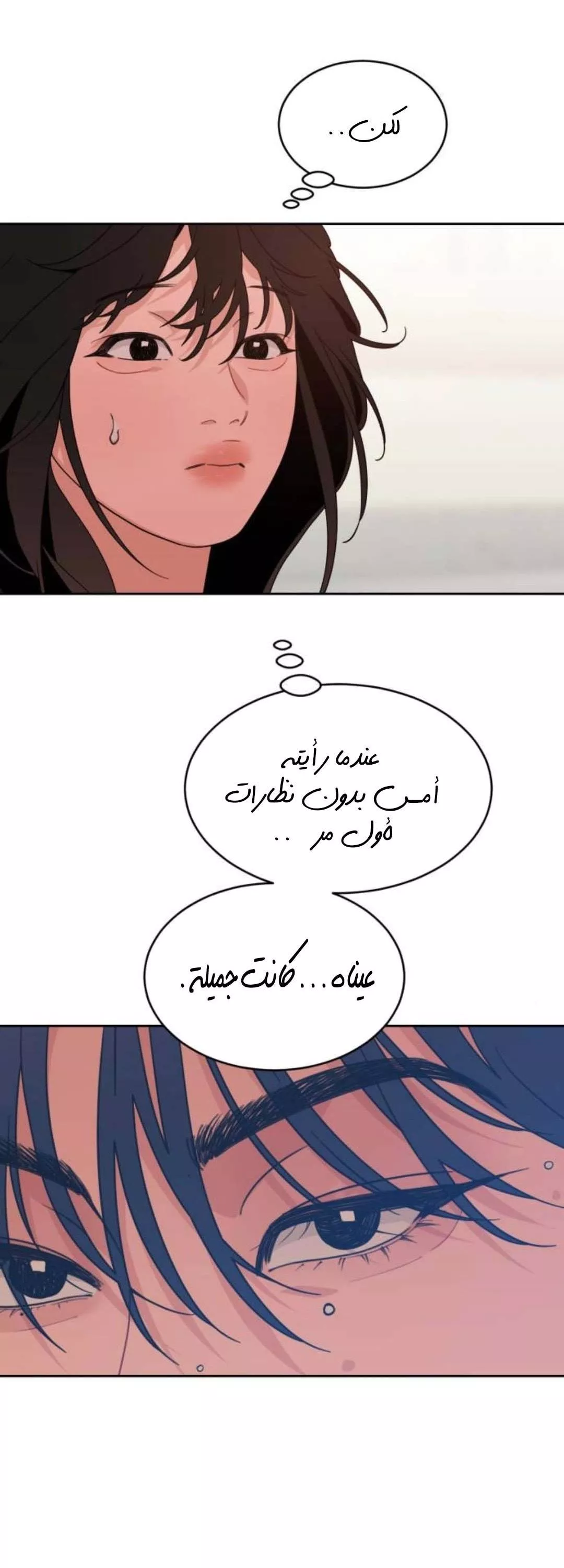 الصفحة 24
