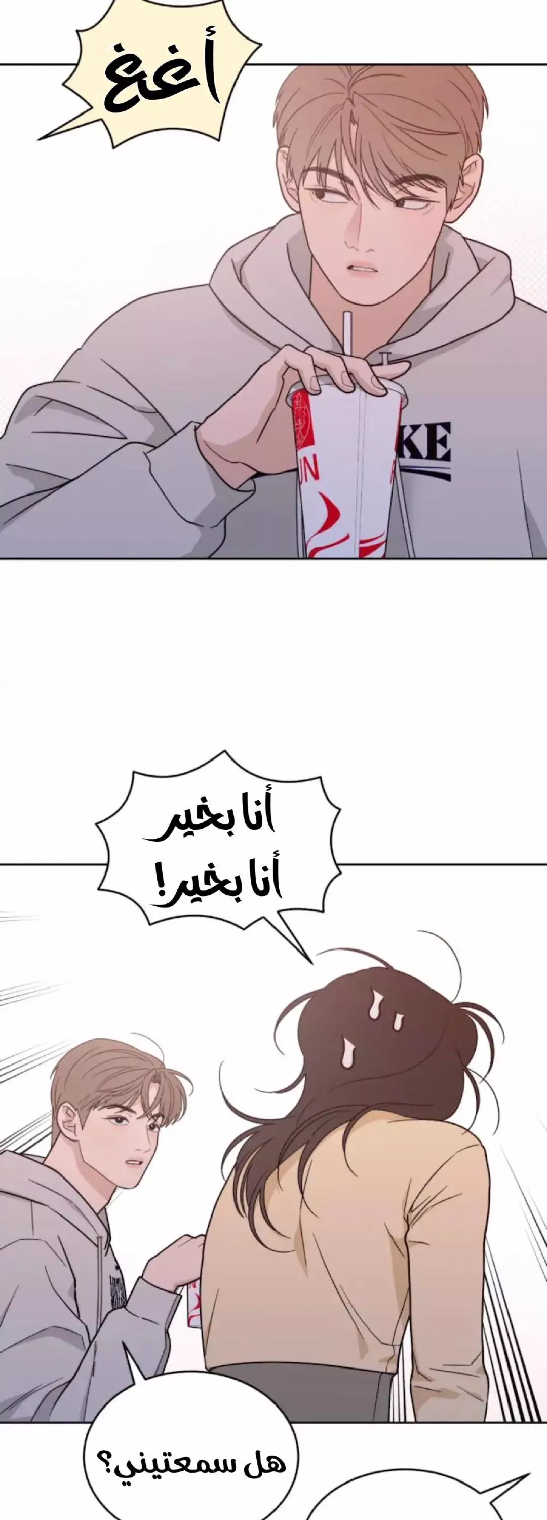 الصفحة 26