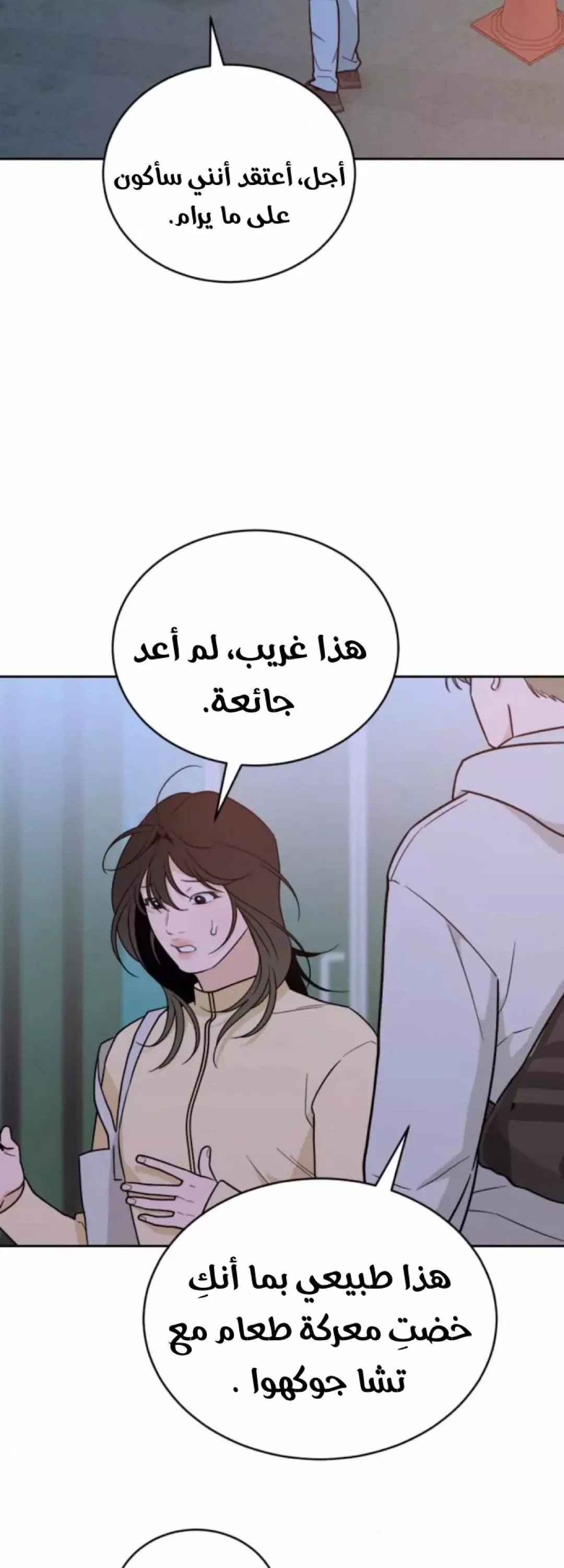 الصفحة 31