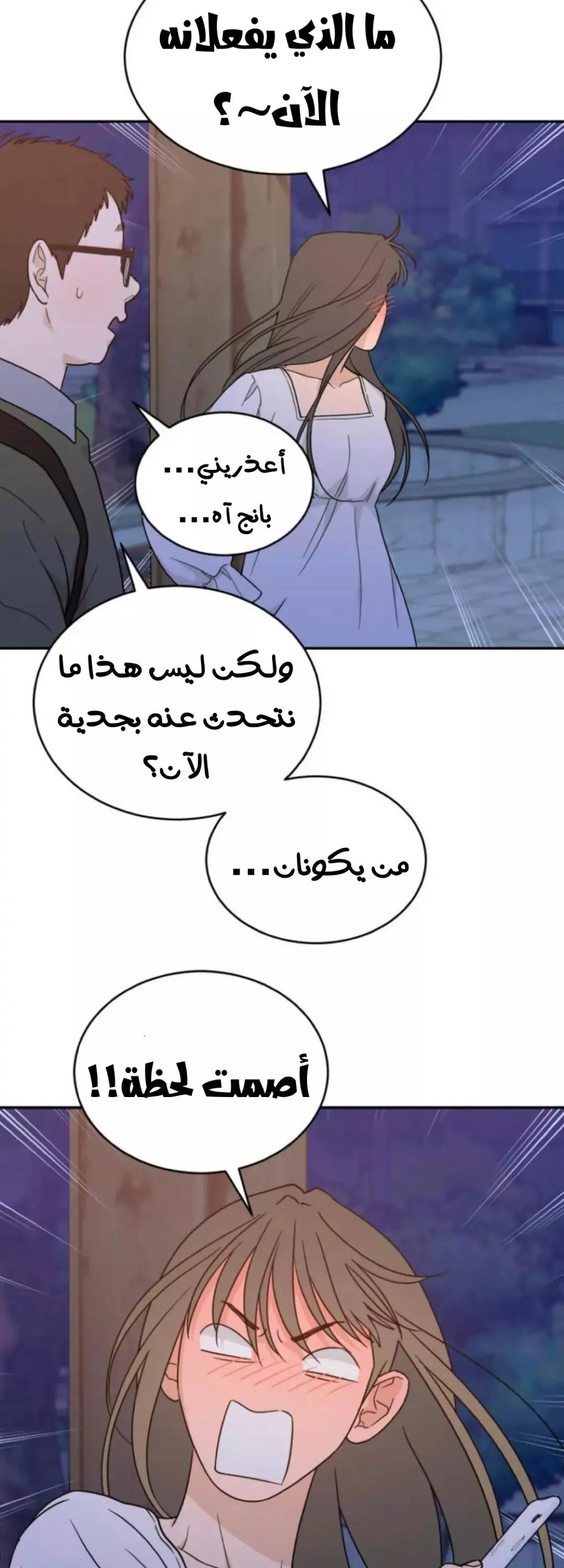 الصفحة 3
