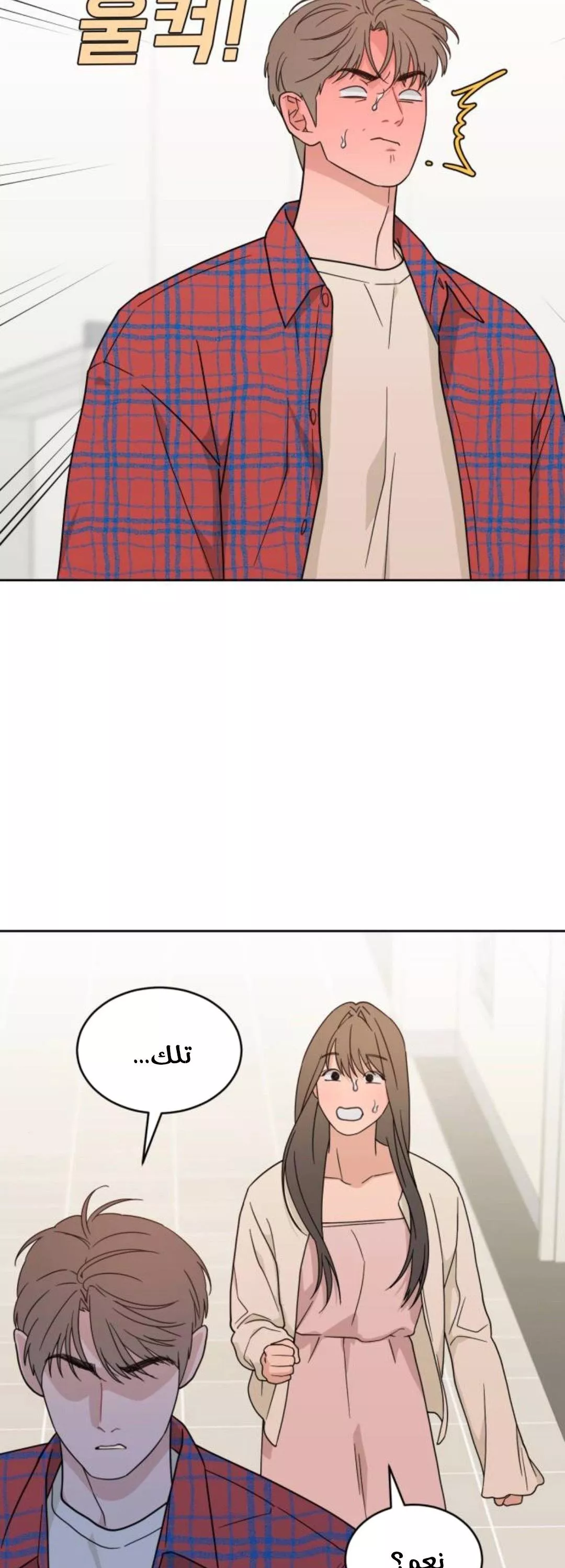 الصفحة 15