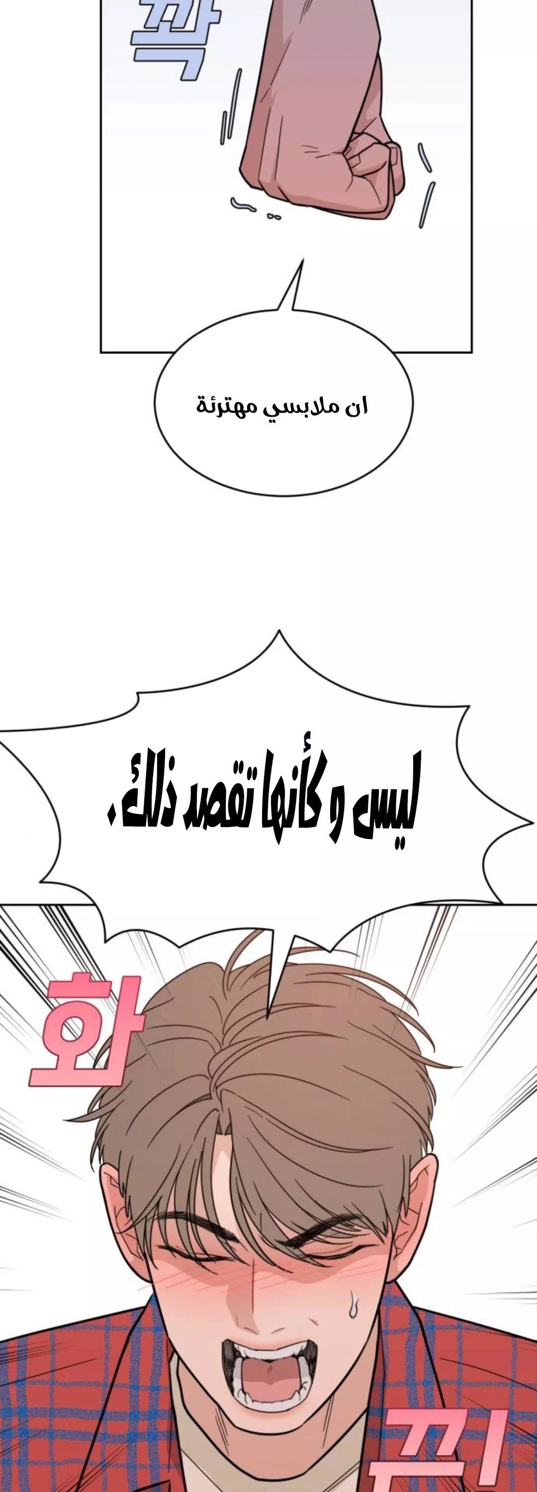 الصفحة 17