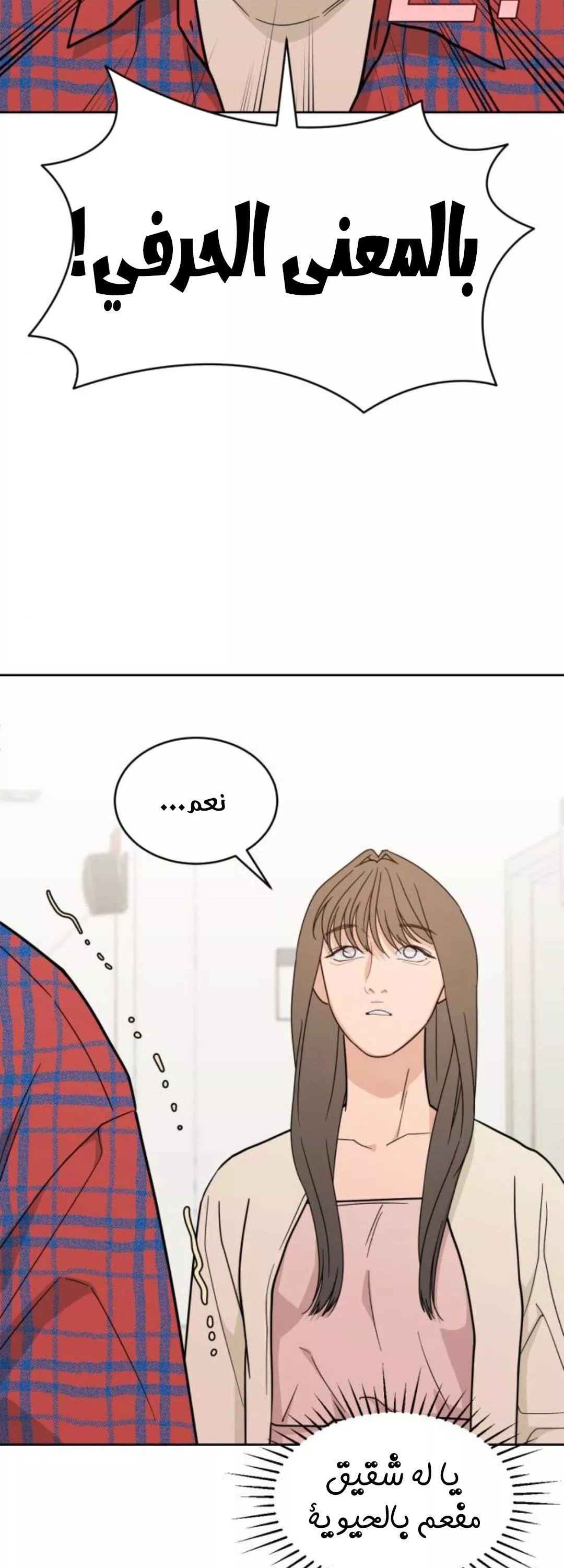 الصفحة 18