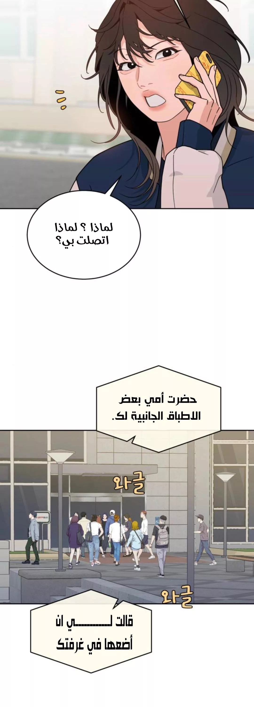 الصفحة 26