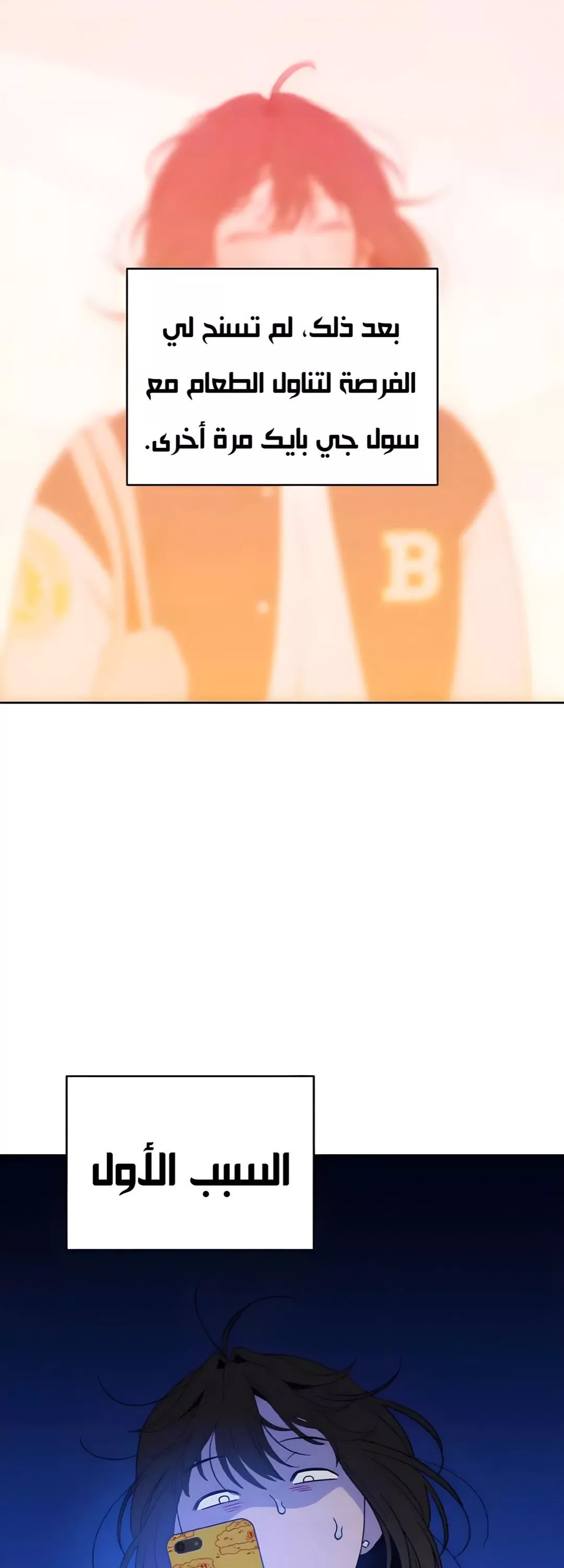 الصفحة 19