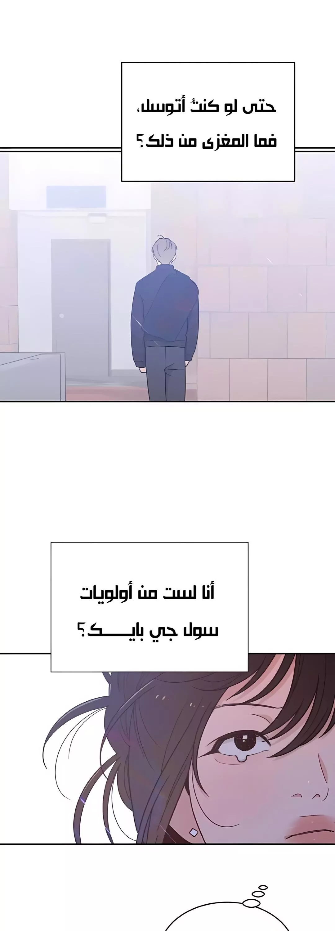 الصفحة 38