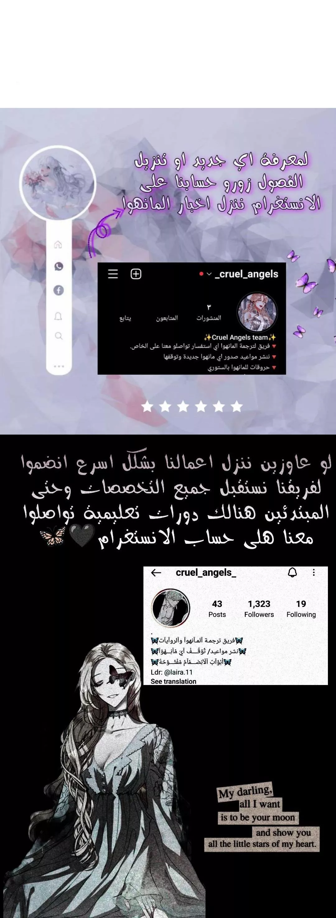 الصفحة 14