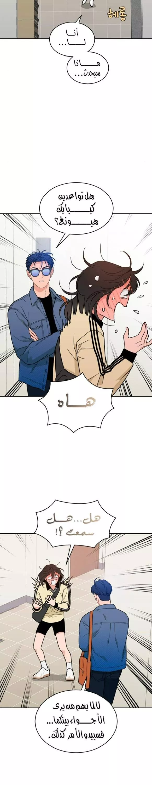 الصفحة 14
