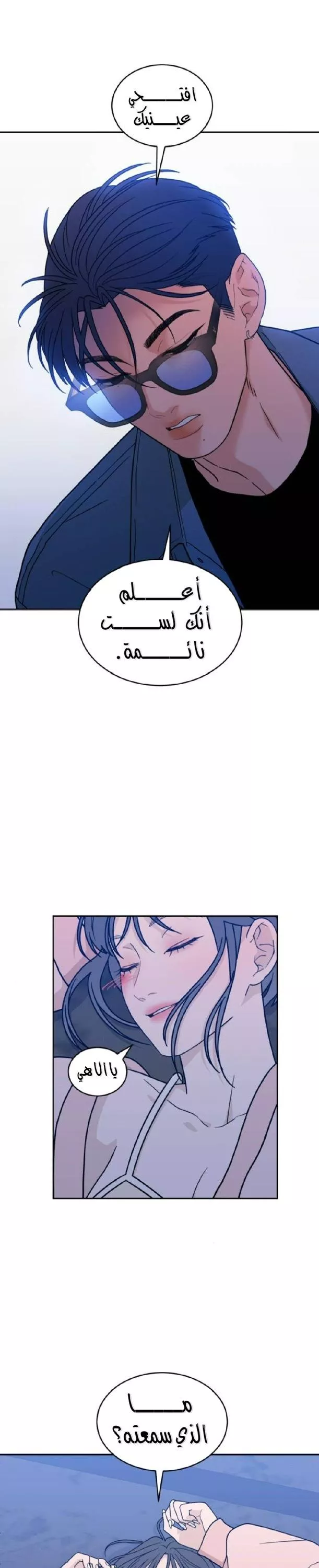 الصفحة 29