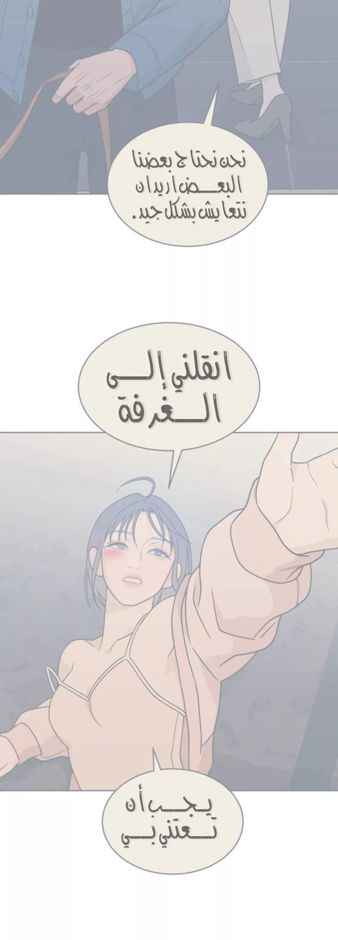 الصفحة 13