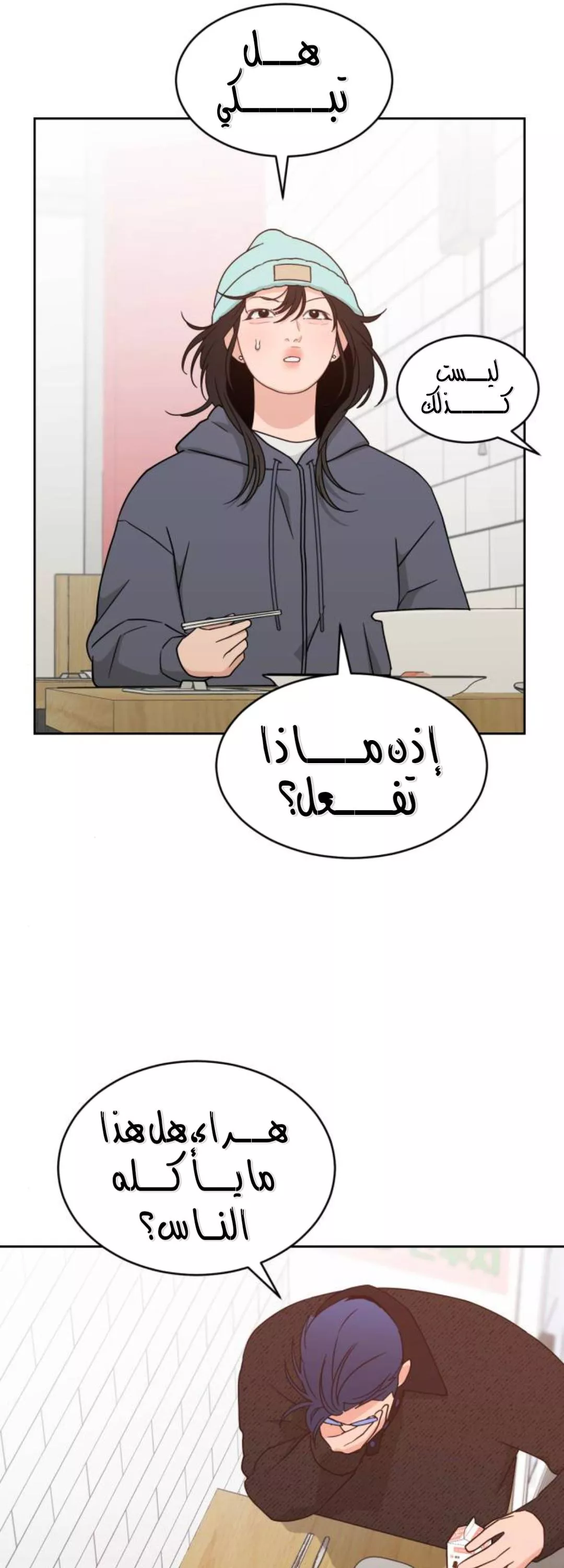 الصفحة 27