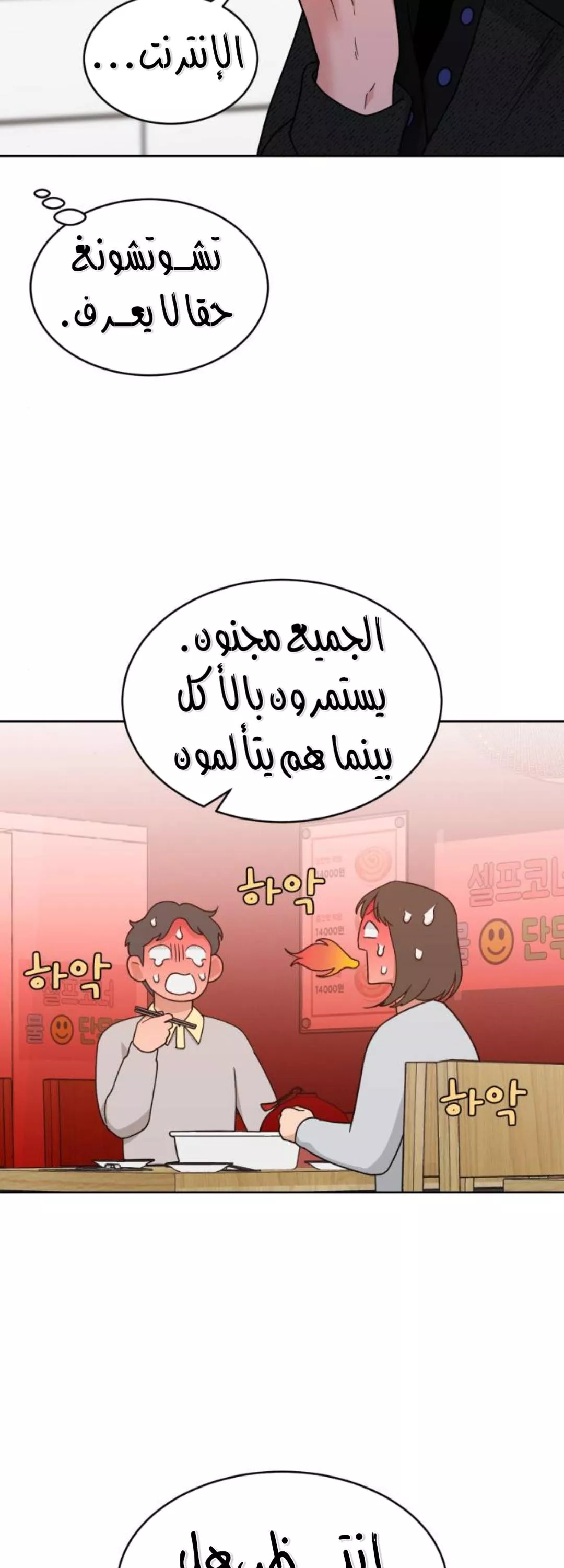الصفحة 29