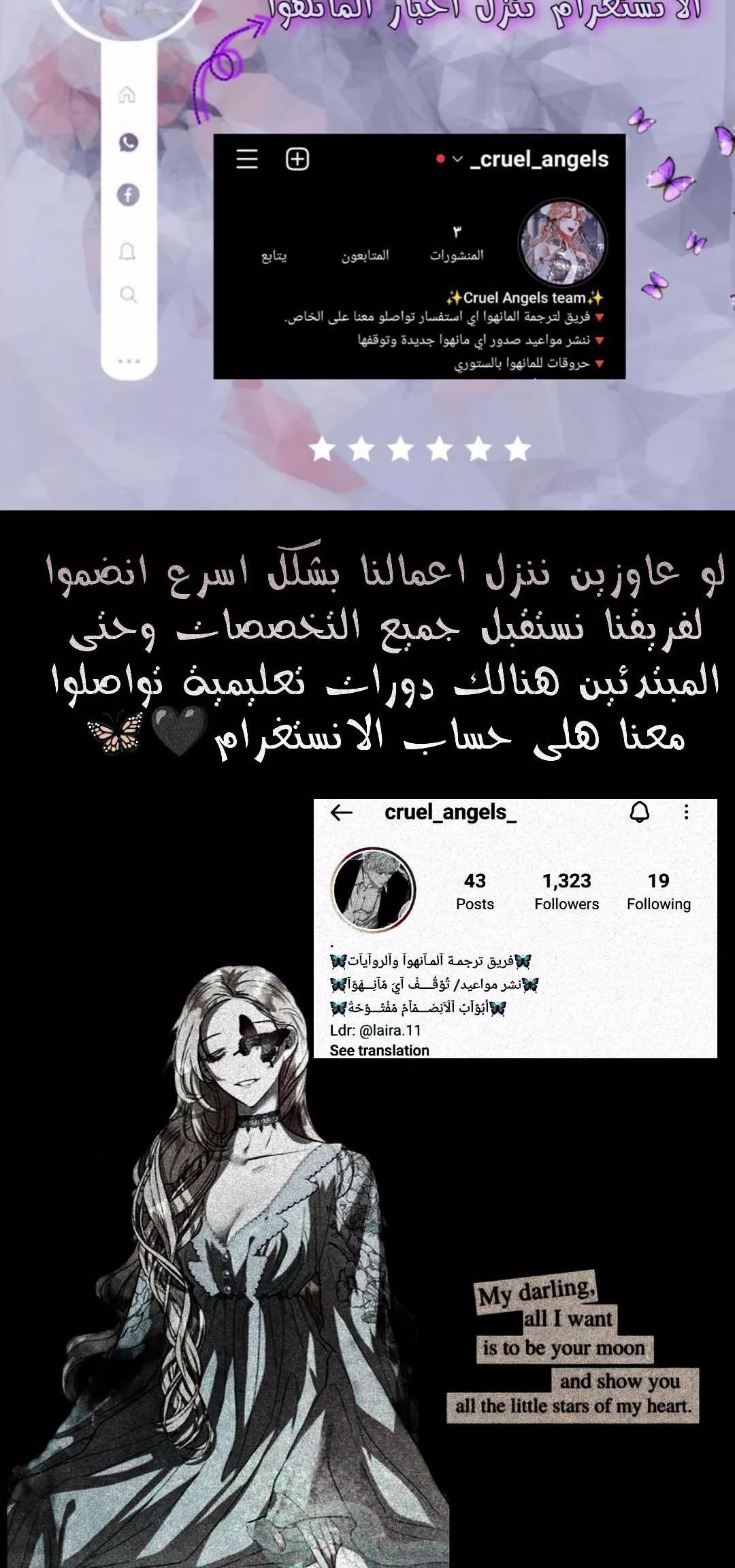 الصفحة 15