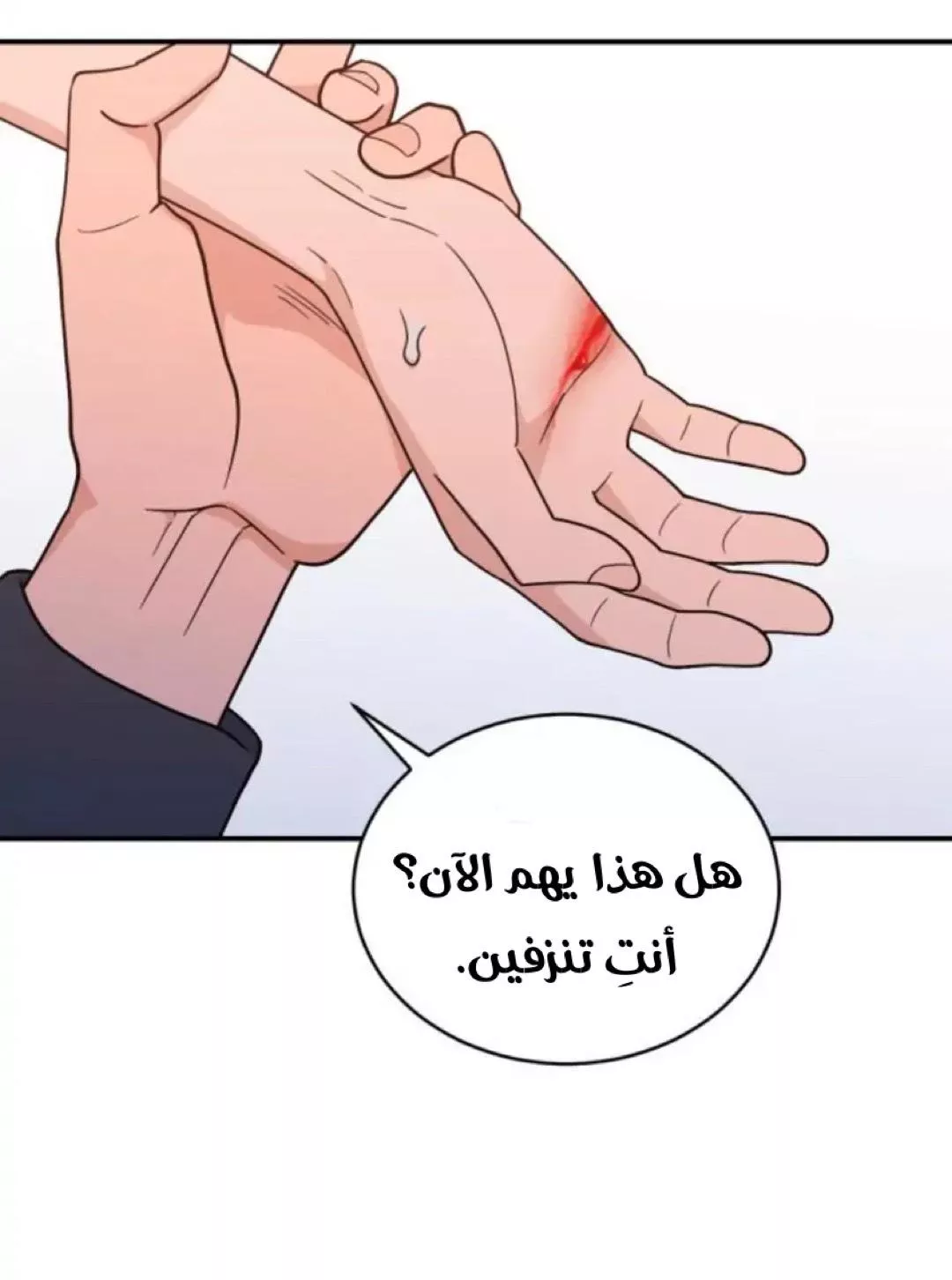 الصفحة 43