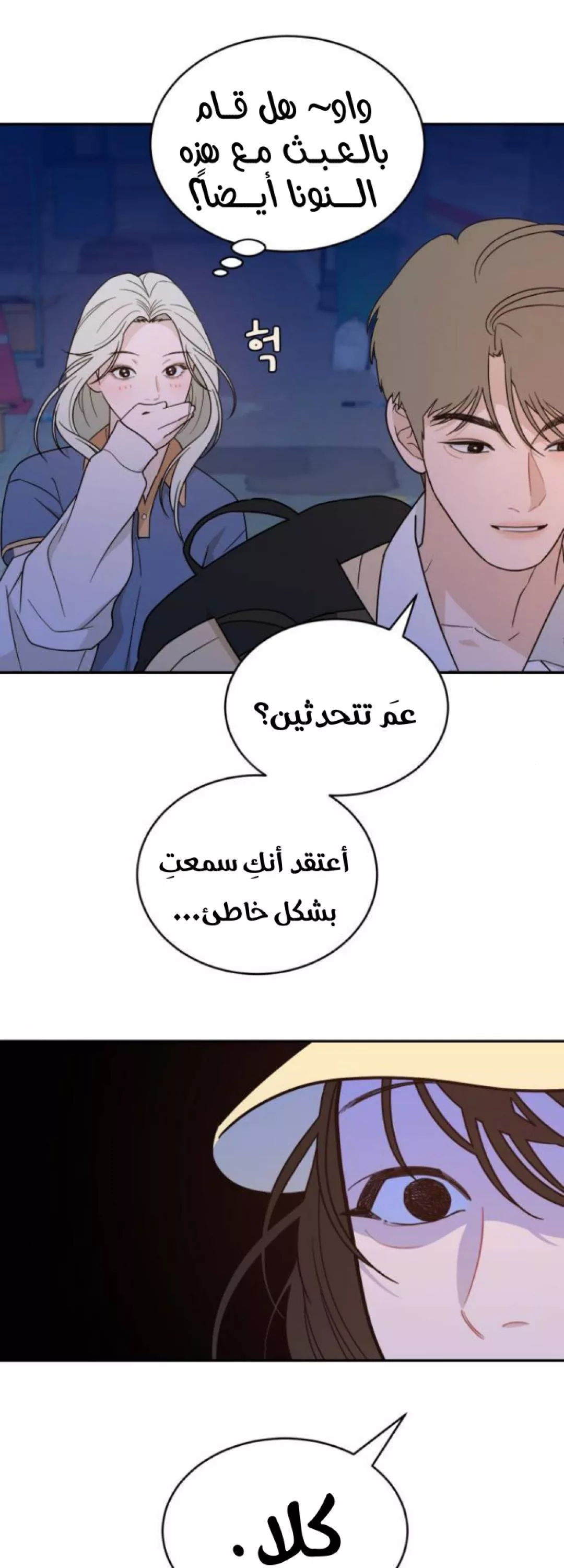 الصفحة 20