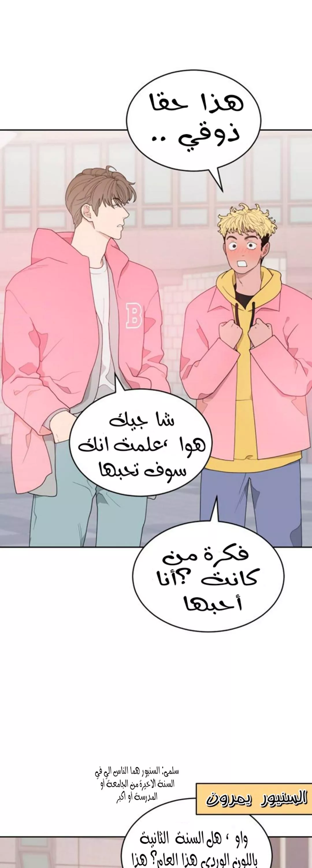الصفحة 13