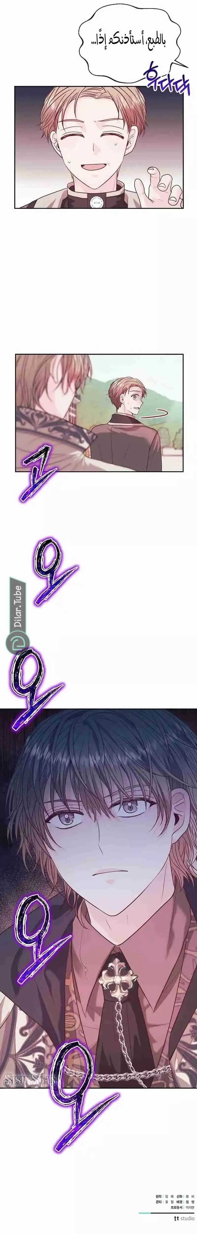 الصفحة 17