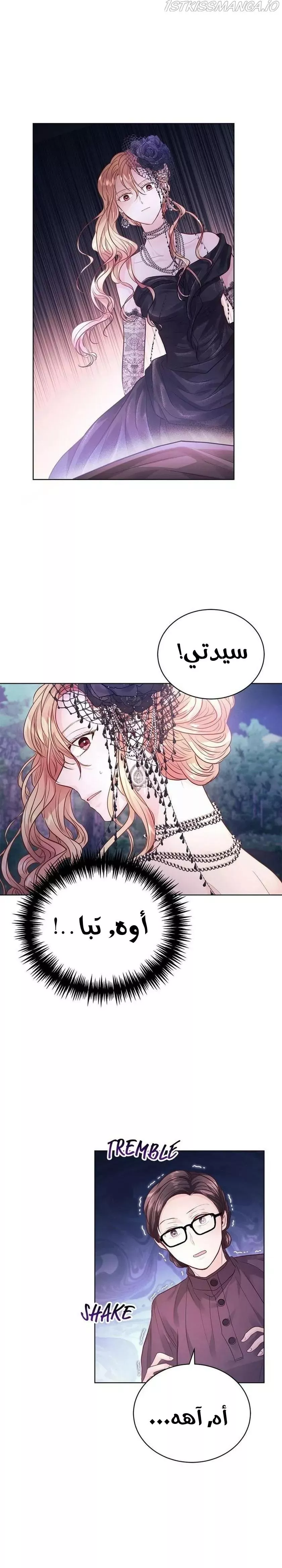الصفحة 26