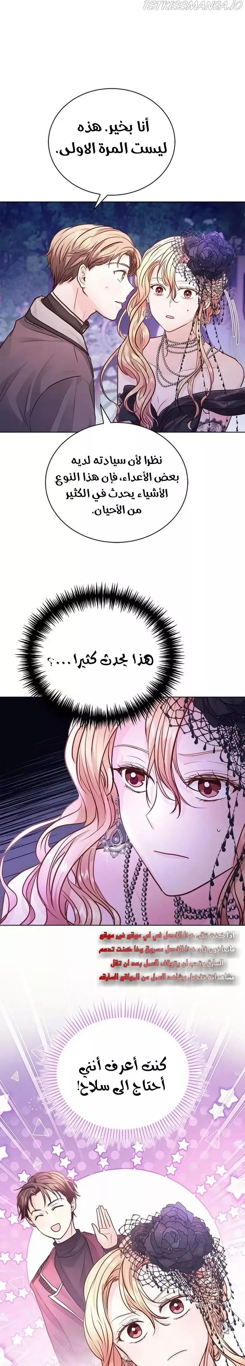 الصفحة 29