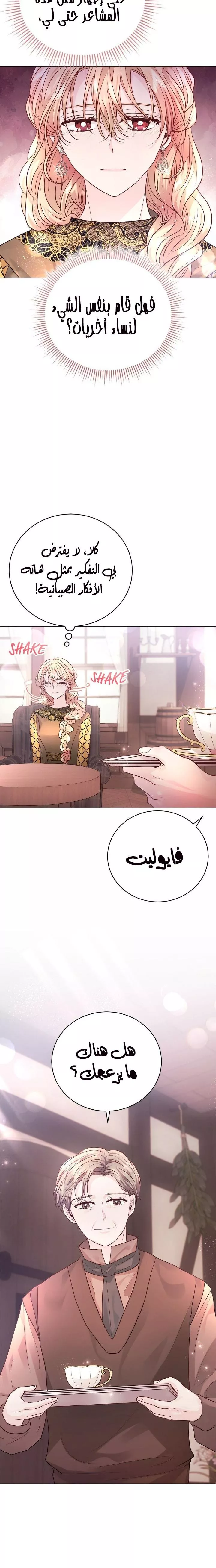 الصفحة 25