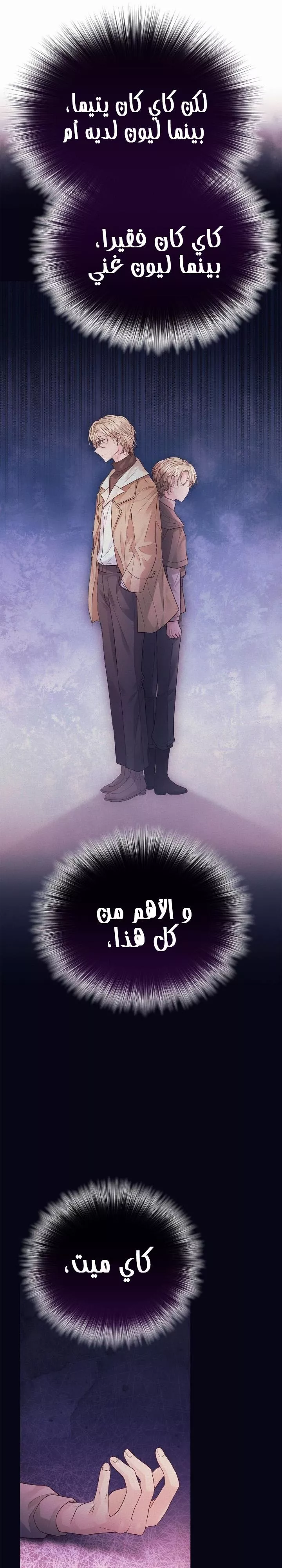الصفحة 24